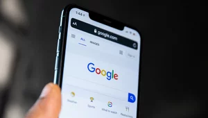 Miniatura: Polska firma wygrywa z Google....