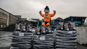 Miniatura: Koksownia Bytom działa jak wielki koncern....