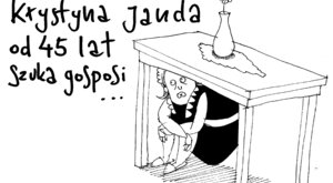 Miniatura: Gosposia Jandy