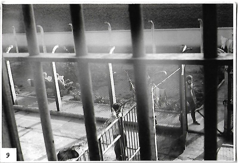 Spacerniak w&nbsp;Grodkowie. Fot: archiwum autora