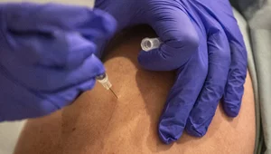 Miniatura: Znane osoby przekonałyby Polaków do...