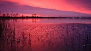 Miniatura: Skarby z Ostrowa Lednickiego. Czegoś...