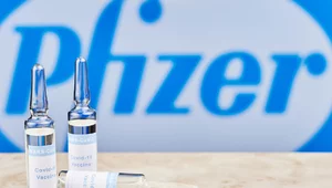 Miniatura: Pfizer rozpoczął badania nad szczepionką...