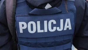 Miniatura: "Bardzo spokojna rodzina". Sąsiedzi w...