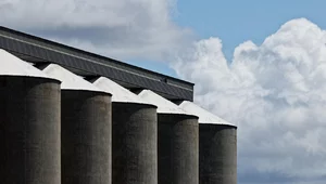 Miniatura: Polska firma zbuduje silosy zbożowe w...