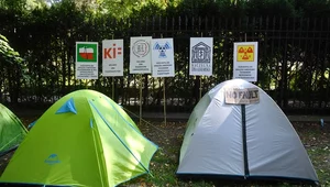 Miniatura: Niedzielski: Podpisaliśmy trójstronne...