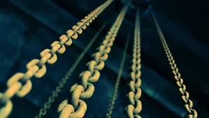 Miniatura: Zakaz niewolnictwa i poddaństwa w prawie...