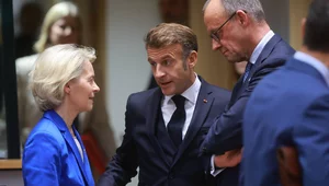 Miniatura: AfD znów zbulwersowało elity. Lisicki: A...