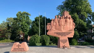 Miniatura: "Znów polska buta chce ubliżyć niemczyźnie"