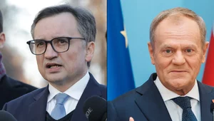 Miniatura: Prześladowanie rozpaczliwcem