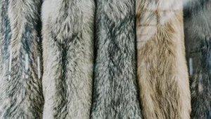 Miniatura: Szacunek dla przyrody