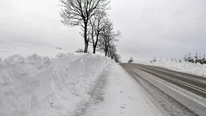 Miniatura: Sekrety przesmyku