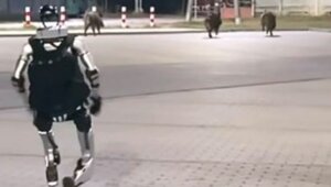 Miniatura: Niezrozumiała nagonka na osobodziki....