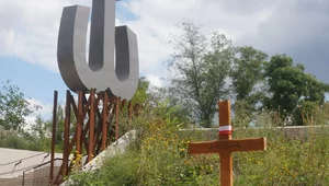 Miniatura: Zapomniani