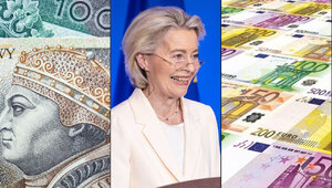 Miniatura: Tym sposobem wepchną euro? Bartoszewicz:...