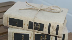 Miniatura: "Dlaczego Zachód promuje ludożerczą kulturę"