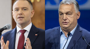 Miniatura: Gociek, Gmyz: Doszło do spotkania...