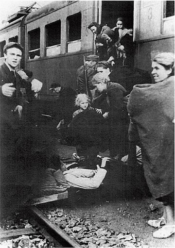 Dzieci Warszawy &ndash; świadkowie wyw&oacute;zek ze&nbsp;stolicy