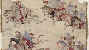 Miniatura: Smocze kły i szpony