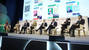 Miniatura: Cena klimatycznych iluzji