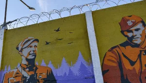 Miniatura: Białoruskie MSZ potępia kult "Burego"