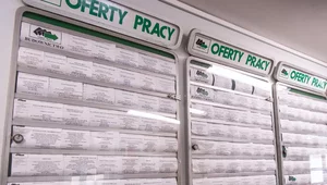 Miniatura: Bezrobocie w Polsce. Znamy najnowsze...