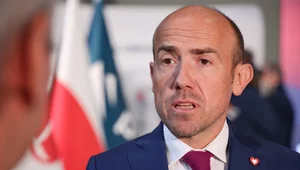 Miniatura: Czemu Niemcy nie biorą kredytu z SAFE?...