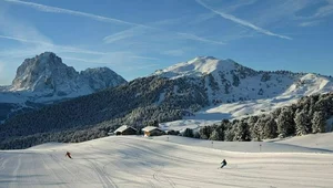 Miniatura: Minister infrastruktury: Mój cel to pociąg...