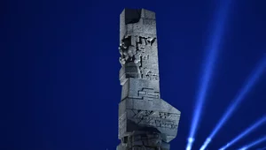 Miniatura: Ludzkie szczątki znalezione na Westerplatte