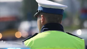 Miniatura: Tyle mandatów wystawiła policja. Wynik...