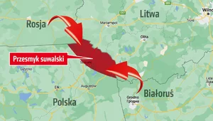 Miniatura: Przesmyk suwalski. Europejska pięta...