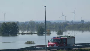 Miniatura: Wody Polskie dostały od rządu 82 mln zł....