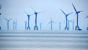 Miniatura: RWE złożyło wniosek lokalizacyjny na...