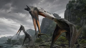 Miniatura: Karłowate dinozaury. Fenomen...