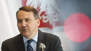 Miniatura: Sikorski: Polityką MSZ nie będą rządziły...