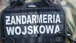 Miniatura: Fragment rakiety w sadzie na Lubelszczyźnie