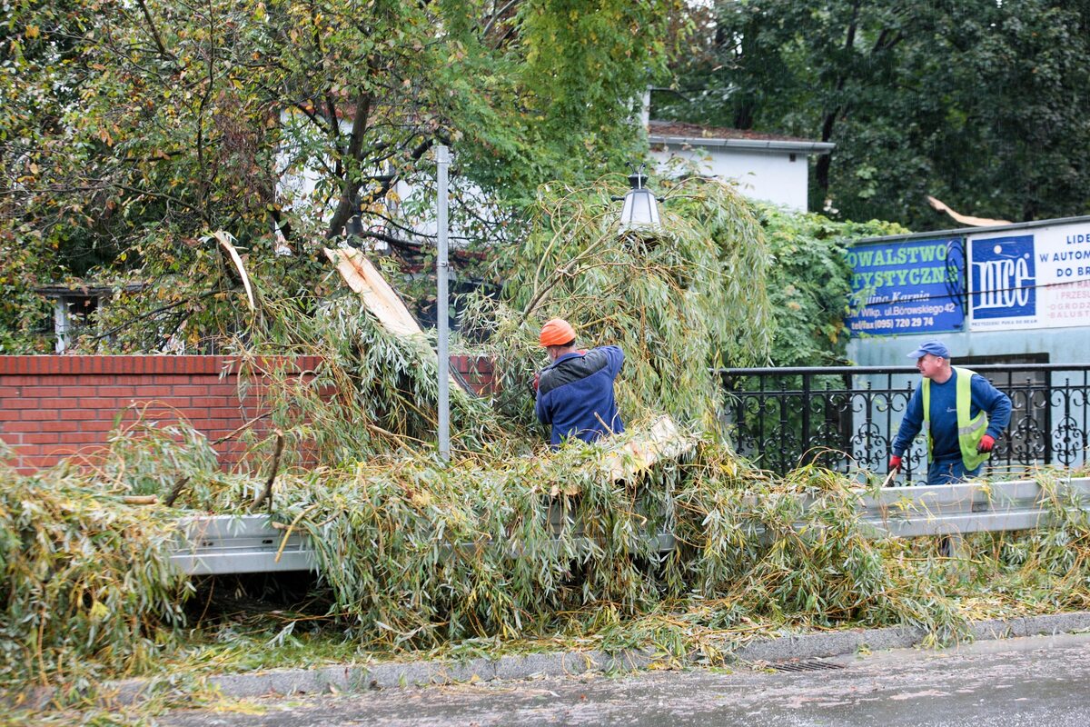 Służby miejskie usuwają zniszczenia po przejściu orkanu Ksawery w Gorzowie Wielkopolskim. 
