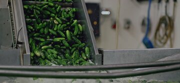 Produkcja przetwor&oacute;w w&nbsp;firmie Bracia Urbanek
