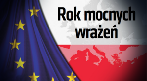 Miniatura: Rok mocnych wrażeń