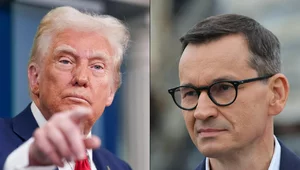 Miniatura: Pax dżungliana