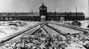 Zaskakujący sondaż. 2/3 młodych Amerykanów nie kojarzy Auschwitz