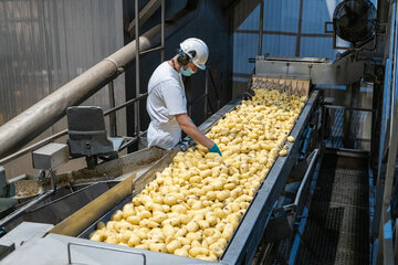 Fabryka Farm Frites Poland &ndash; Lębork