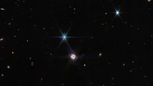 Miniatura: To, że musi istnieć, udowodniono na...