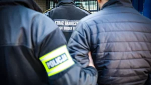 Miniatura: Ukrainiec wydalony z Polski. Miał plakaty...