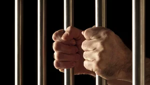 Miniatura: Rycerz Jana Pawła II pedofilem...