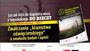 Miniatura: "Zwalczanie kłamstwa oświęcimskiego a...