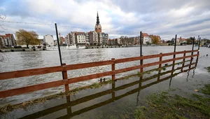 Miniatura: Miasto odwołuje imprezę sylwestrową....