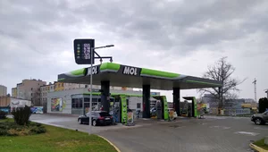 Miniatura: Ofensywa Węgrów w Polsce. Nowe stacje paliw