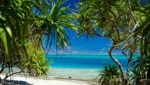 Miniatura: Utopijna rewolucja na rajskiej wyspie. W...