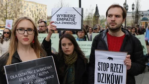Miniatura: Dziki mają wielu obrońców. A co z ludźmi,...